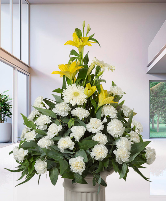 Centros funerarios para enviar a Madrid